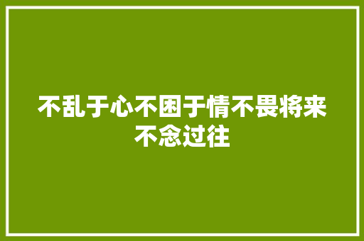 不乱于心不困于情不畏将来不念过往