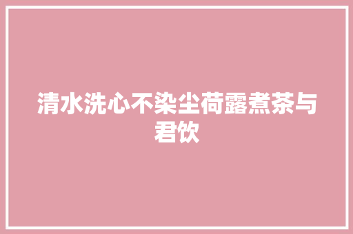 清水洗心不染尘荷露煮茶与君饮