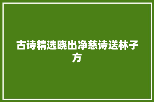 古诗精选晓出净慈诗送林子方