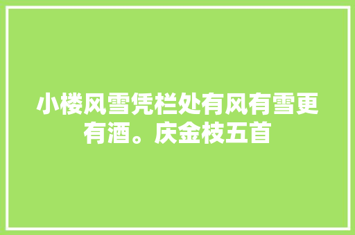 小楼风雪凭栏处有风有雪更有酒。庆金枝五首