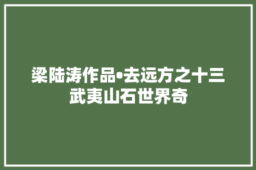 梁陆涛作品•去远方之十三武夷山石世界奇