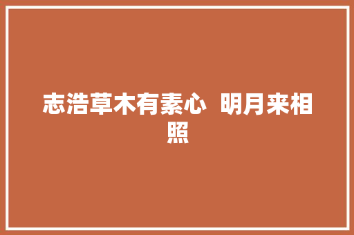 志浩草木有素心  明月来相照