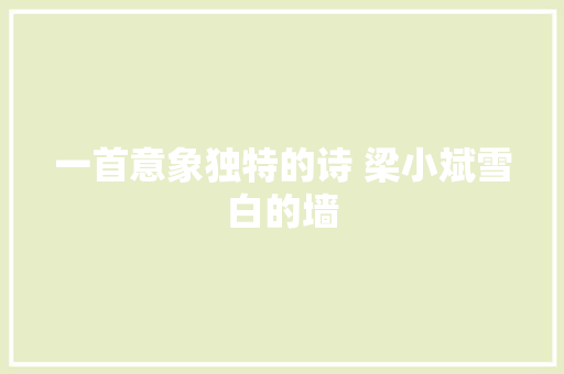 一首意象独特的诗 梁小斌雪白的墙