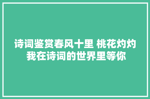 诗词鉴赏春风十里 桃花灼灼 我在诗词的世界里等你