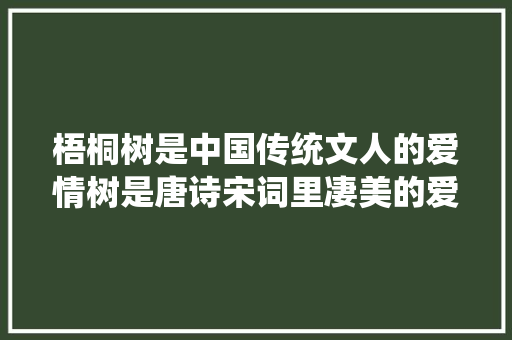 梧桐树是中国传统文人的爱情树是唐诗宋词里凄美的爱情树