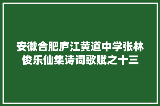 安徽合肥庐江黄道中学张林俊乐仙集诗词歌赋之十三