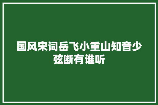 国风宋词岳飞小重山知音少弦断有谁听
