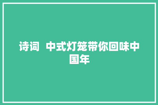 诗词  中式灯笼带你回味中国年
