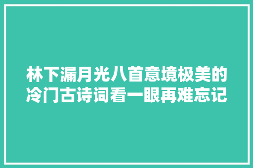 林下漏月光八首意境极美的冷门古诗词看一眼再难忘记
