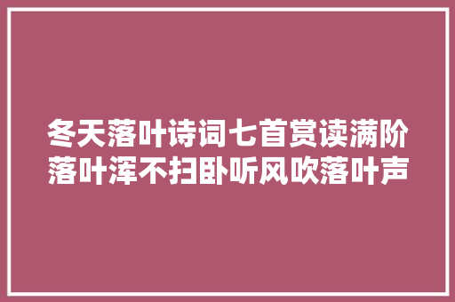 冬天落叶诗词七首赏读满阶落叶浑不扫卧听风吹落叶声