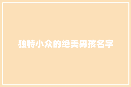 独特小众的绝美男孩名字