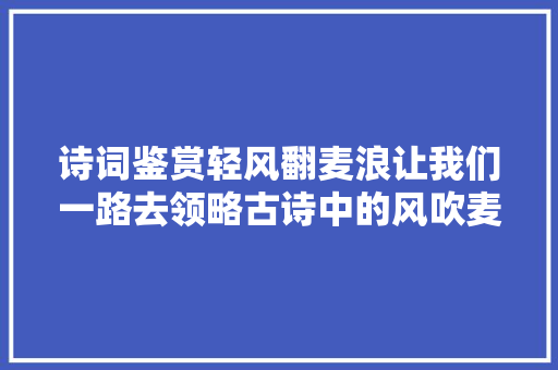 诗词鉴赏轻风翻麦浪让我们一路去领略古诗中的风吹麦浪
