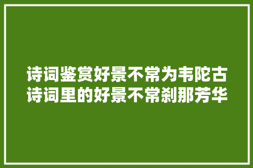 诗词鉴赏好景不常为韦陀古诗词里的好景不常刹那芳华