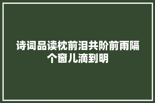 诗词品读枕前泪共阶前雨隔个窗儿滴到明