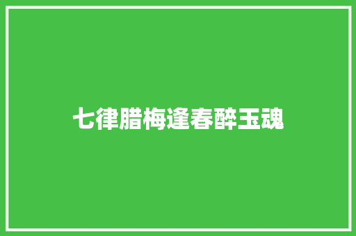 七律腊梅逢春醉玉魂
