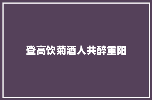 登高饮菊酒人共醉重阳