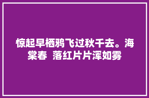 惊起早栖鸦飞过秋千去。海棠春  落红片片浑如雾