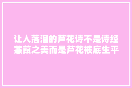 让人落泪的芦花诗不是诗经蒹葭之美而是芦花被底生平寒