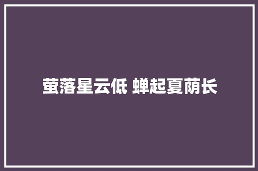 萤落星云低 蝉起夏荫长