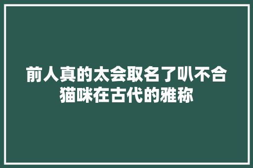 前人真的太会取名了叭不合猫咪在古代的雅称