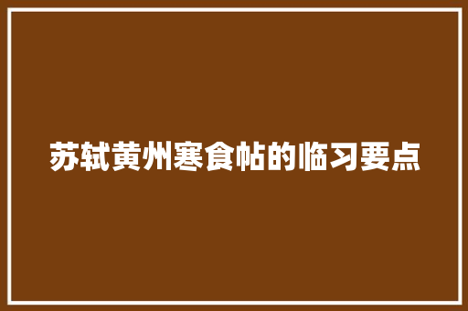 苏轼黄州寒食帖的临习要点