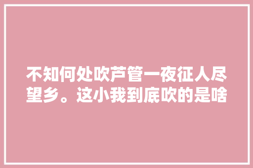 不知何处吹芦管一夜征人尽望乡。这小我到底吹的是啥