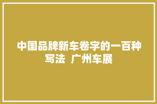 中国品牌新车卷字的一百种写法  广州车展