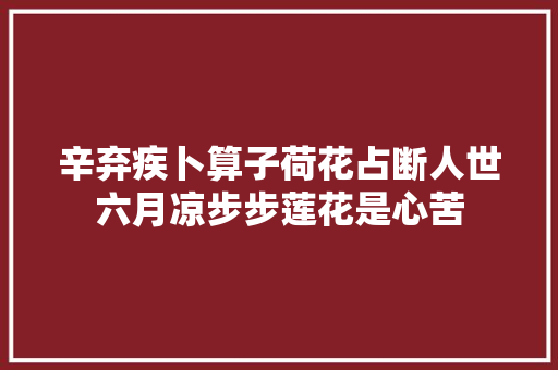 辛弃疾卜算子荷花占断人世六月凉步步莲花是心苦