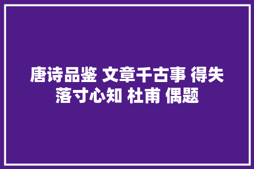 唐诗品鉴 文章千古事 得失落寸心知 杜甫 偶题