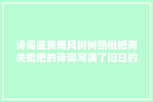 诗词鉴赏南风树树熟枇杷有关枇杷的诗词写满了旧日的好时光