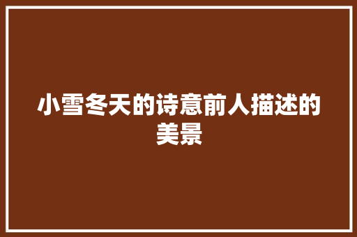 小雪冬天的诗意前人描述的美景