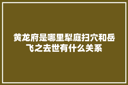 黄龙府是哪里犁庭扫穴和岳飞之去世有什么关系