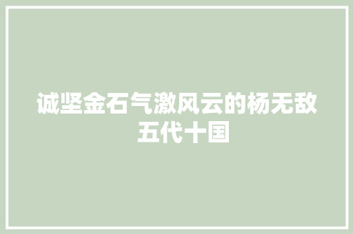 诚坚金石气激风云的杨无敌  五代十国