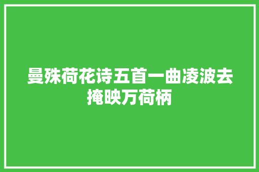 曼殊荷花诗五首一曲凌波去掩映万荷柄