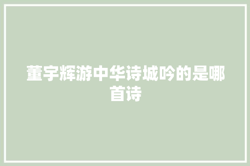 董宇辉游中华诗城吟的是哪首诗