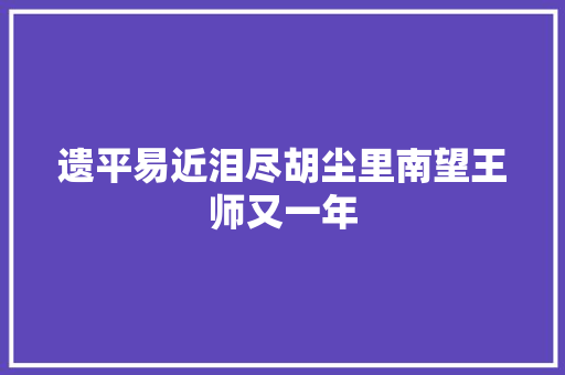 遗平易近泪尽胡尘里南望王师又一年