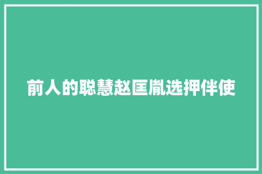 前人的聪慧赵匡胤选押伴使