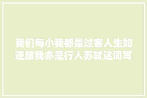 我们每小我都是过客人生如逆旅我亦是行人苏轼这词写得真好