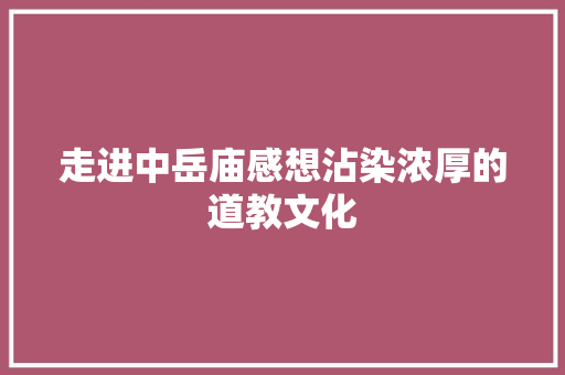 走进中岳庙感想沾染浓厚的道教文化