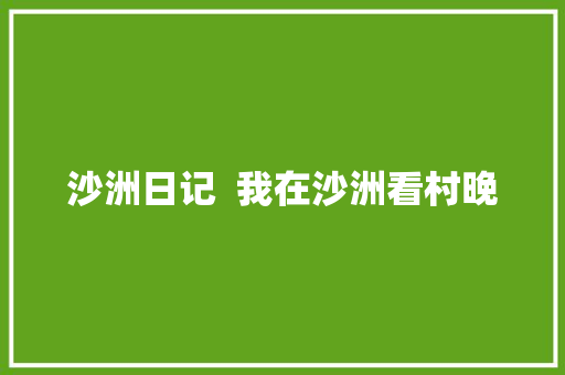 沙洲日记  我在沙洲看村晚