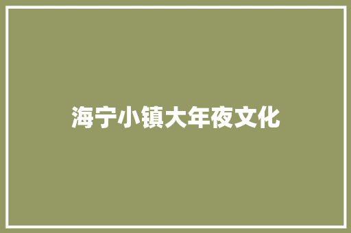 海宁小镇大年夜文化