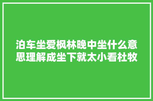 泊车坐爱枫林晚中坐什么意思理解成坐下就太小看杜牧