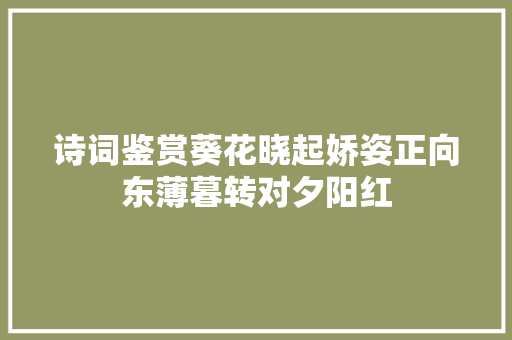 诗词鉴赏葵花晓起娇姿正向东薄暮转对夕阳红