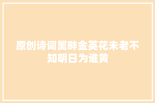原创诗词篱畔金英花未老不知明日为谁黄