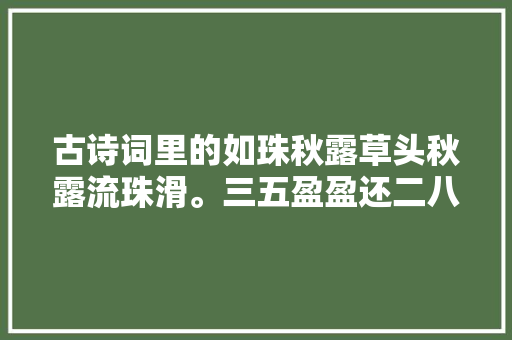 古诗词里的如珠秋露草头秋露流珠滑。三五盈盈还二八。