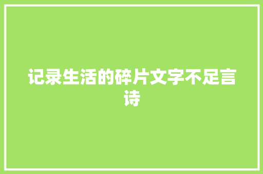 记录生活的碎片文字不足言诗