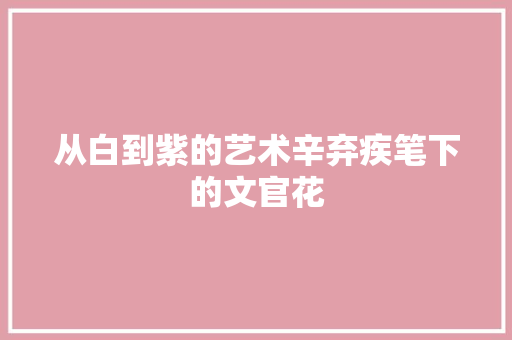 从白到紫的艺术辛弃疾笔下的文官花