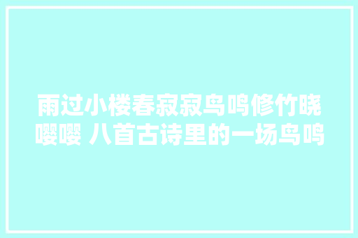 雨过小楼春寂寂鸟鸣修竹晓嘤嘤 八首古诗里的一场鸟鸣之行