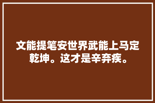 文能提笔安世界武能上马定乾坤。这才是辛弃疾。