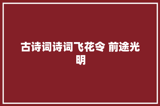 古诗词诗词飞花令 前途光明